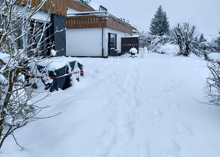 Modern Holiday Home Near Winterberg
