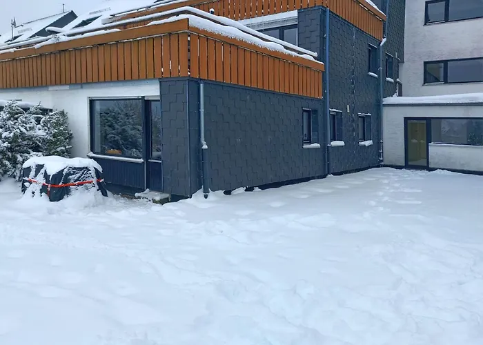 Modern Holiday Home Near Winterberg